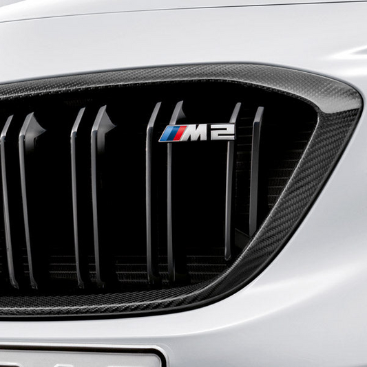 BMW Genuine Front Grill M Performance Carbon M2 F87 Competition 51712453944